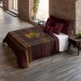 Housse de Couette Harry Potter Classic Gryffindor 200 x 200 cm