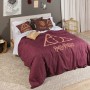 Housse de Couette Harry Potter Deathly Hallows 180 x 220 cm Lit 1 persone