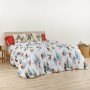 Housse de Couette Muaré Laponia 240 x 220 cm Gran lit 2 persones