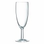 Coupe de champagne Arcopal Pacome Arcopal Transparent verre 6 Unités (14 cl)