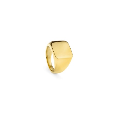 Anillo Hombre Radiant RH000027-24 24