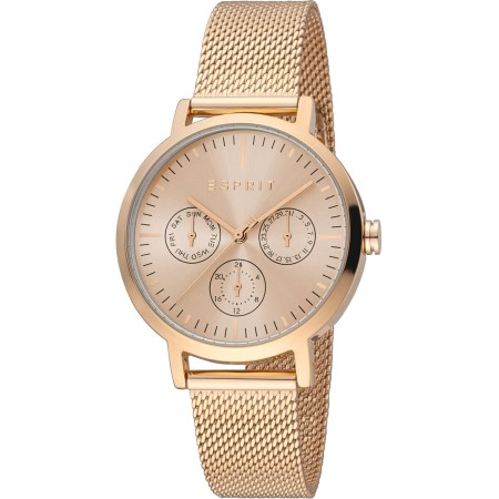 Montre Femme Esprit ES1L364M0095