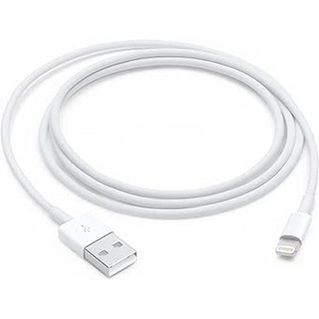 Câble USB vers Lightning Apple 1 m Blanc (1 Unité)