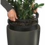 Pot auto-arrosant Lechuza Anthracite Ø 40 x 75 cm Plastique