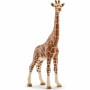 Playset Schleich 14750 Female Giraffe