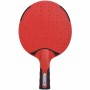 Set de Ping Pong Schildkröt Donic