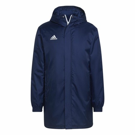 Veste de Sport pour Homme Adidas Ent22 Stadjkt Bleu