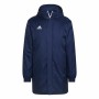 Veste de Sport pour Homme Adidas Ent22 Stadjkt Bleu