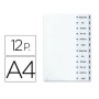 Séparateurs Avery 1732061 Blanc Carton (1 Unité)