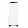 Climatiseur Portable Orbegozo AIR 52 65 W Noir/Blanc