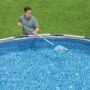 Recoge Hojas Para Piscinas Bestway 163 cm