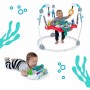 Centre d'activités Baby Einstein Ocean Explorers