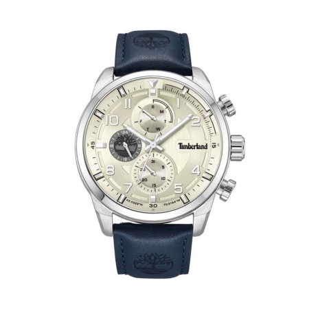 Montre Homme Timberland TDWGF2201105