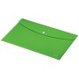 Carpeta Leitz 46780055 Verde A4 (1 unidad)