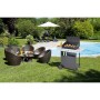 Barbacoa de Gas Campingaz Xpert 200I Vario 7100 W Negro