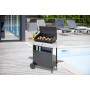 Barbecue à gaz Campingaz Xpert 200I Vario 7100 W Noir