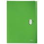 Carpeta Clasificadora Leitz 46240055 Verde A4