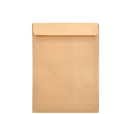 Enveloppes Liderpapel SB54 Marron Papier 250 x 353 mm (250 Unités)