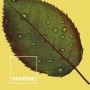 Couvre-lit Nature Pantone