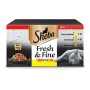 Aliments pour chat Sheba Fresh & Fine Poulet Dinde Oiseaux 50 x 50 g