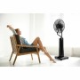 Ventilateur sur Pied Oceanic