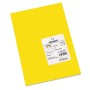 Papier carton Iris C200040816 Jaune Fluorescent (50 Unités)