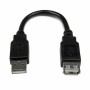 Câble USB Startech USBEXTAA6IN     USB A Noir