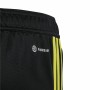 Pantalon de Sport pour Enfant Adidas Tiro 23 Club Noir