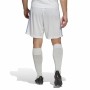 Jogging d'Entraînement de Football pour Adultes Real Madrid C.F. First Kit 22/23 Blanc Unisexe