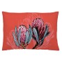 Housse de coussin Naturals Proteas (50 x 30 cm)