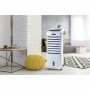 Thermo Ventilateur Portable DOMO DO153A Blanc