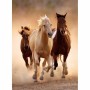 Puzzle Clementoni Wild Horses 391684 67,7 x 47,7 cm 1000 Piezas