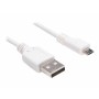 Câble USB Sandberg 440-33 Blanc 1 m (1 Unité)