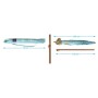 Sombrilla Azul 220 cm UPF 50+