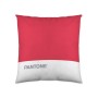 Housse de coussin Pantone Stripes (50 x 50 cm)