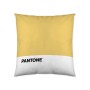 Housse de coussin Pantone Talisman (50 x 50 cm)