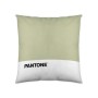 Housse de coussin Pantone Talisman (50 x 50 cm)