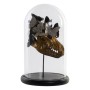 Figurine Décorative DKD Home Decor Métal Résine Verre Bois MDF Glam