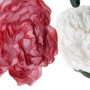Fleur décorative DKD Home Decor (2 pcs)