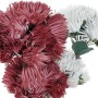 Fleur décorative DKD Home Decor (2 pcs)