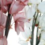 Fleur décorative DKD Home Decor EVA (éthylène-acétate de vinyle) (2 pcs) (35 x 110 cm)