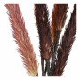 Fleurs décoratives DKD Home Decor (2 pcs) (30 x 140 cm)
