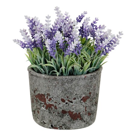 Fleurs décoratives DKD Home Decor Lavande Ciment Fer PE (15 x 15 x 21 cm)