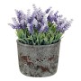 Fleurs décoratives DKD Home Decor Lavande Ciment Fer PE (15 x 15 x 21 cm)