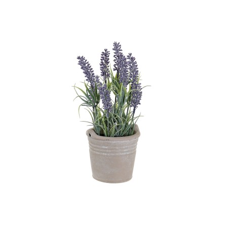 Fleurs décoratives DKD Home Decor Ciment Fer PE (11 x 11 x 27 cm)