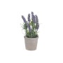 Fleurs décoratives DKD Home Decor Ciment Fer PE (11 x 11 x 27 cm)