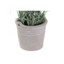 Fleurs décoratives DKD Home Decor Ciment Fer PE (11 x 11 x 27 cm)