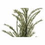 Plante décorative DKD Home Decor Romarin EVA (17 x 129 cm)