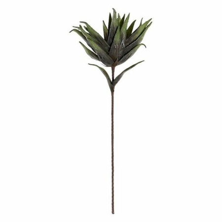 Plante décorative DKD Home Decor EVA (35 x 94 cm)
