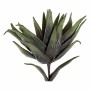 Plante décorative DKD Home Decor EVA (35 x 94 cm)